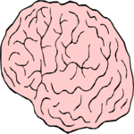 Brain 5 Clip Art