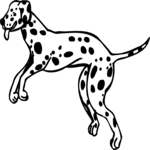 Dalmatian 2