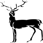 Stag 4