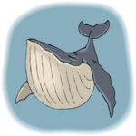 Whale Smiling 2
