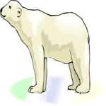 Bear - Polar 06