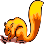 Squirrel 09