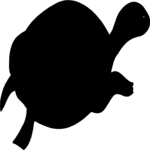 Turtle 5