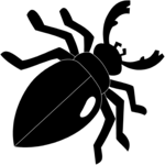 Beetle 01