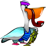 Sailor - Pelican