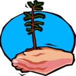 Planting Tree 2