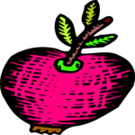 Apple 55 Clip Art