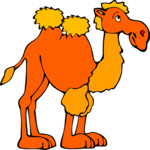 Camel 11