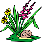 Flower with Snail