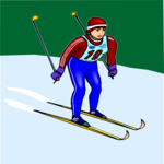 Skier 73