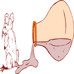 Experiment - Mouse Clip Art