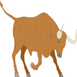 Bull 03 Clip Art