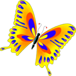 Butterfly 037