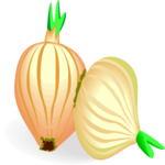 Onions 6 Clip Art