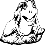 Frog 13