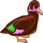 Duck 19 Clip Art