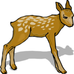 Fawn 4