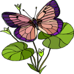 Butterfly 133