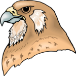 Falcon - Head Clip Art