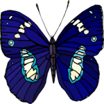 Butterfly 126
