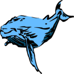Whale