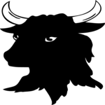 Bull - Head 1