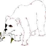 Bear - Polar 14