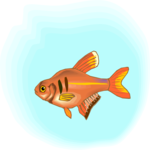 Tetra 12 Clip Art