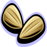 Almonds 1 Clip Art