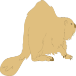 Beaver 04