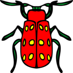 Beetle 13 Clip Art