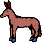 Donkey 08