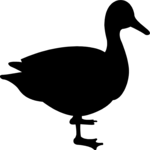 Duck 2 Clip Art