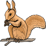 Squirrel 18 Clip Art