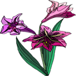 Flower 481 Clip Art