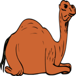 Camel 09