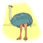 Ostrich 10