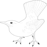Bird 003 Clip Art