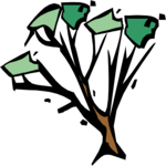 Tree 217 Clip Art