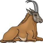 Ibex 2