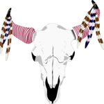 Steer Skull 15