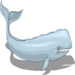 Whale 13