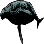 Whale - Humpback 2