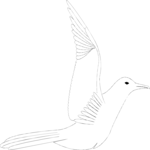 Seagull 04