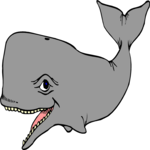 Whale Smiling 1