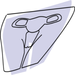 Reproductive - Female 5