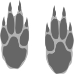 Paw Prints 2