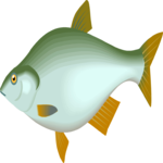 Fish 085