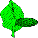 Leaf 112 Clip Art