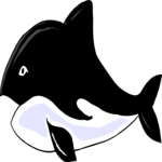 Whale 14